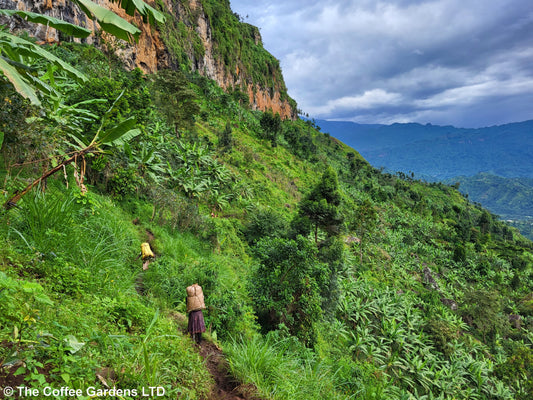 Oeganda - Nanolot Nafuna