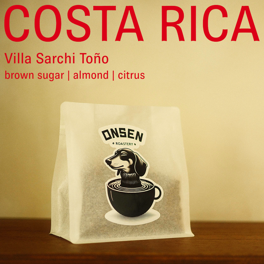 Costa Rica - Villa Sarchi Toño