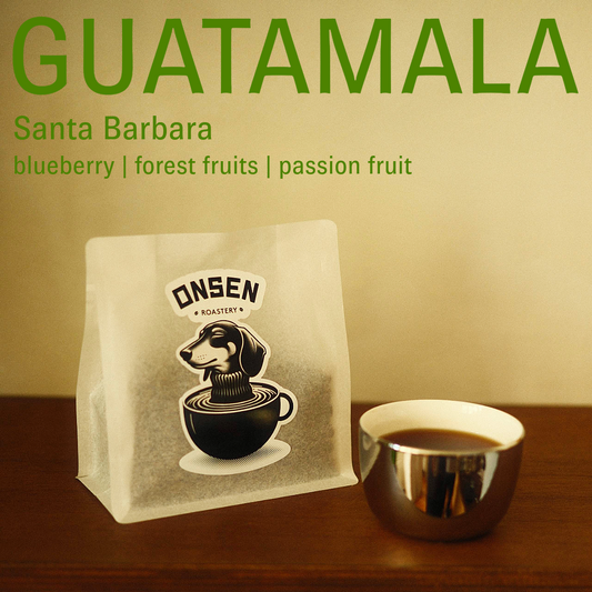 Guatemala - Santa Barbara